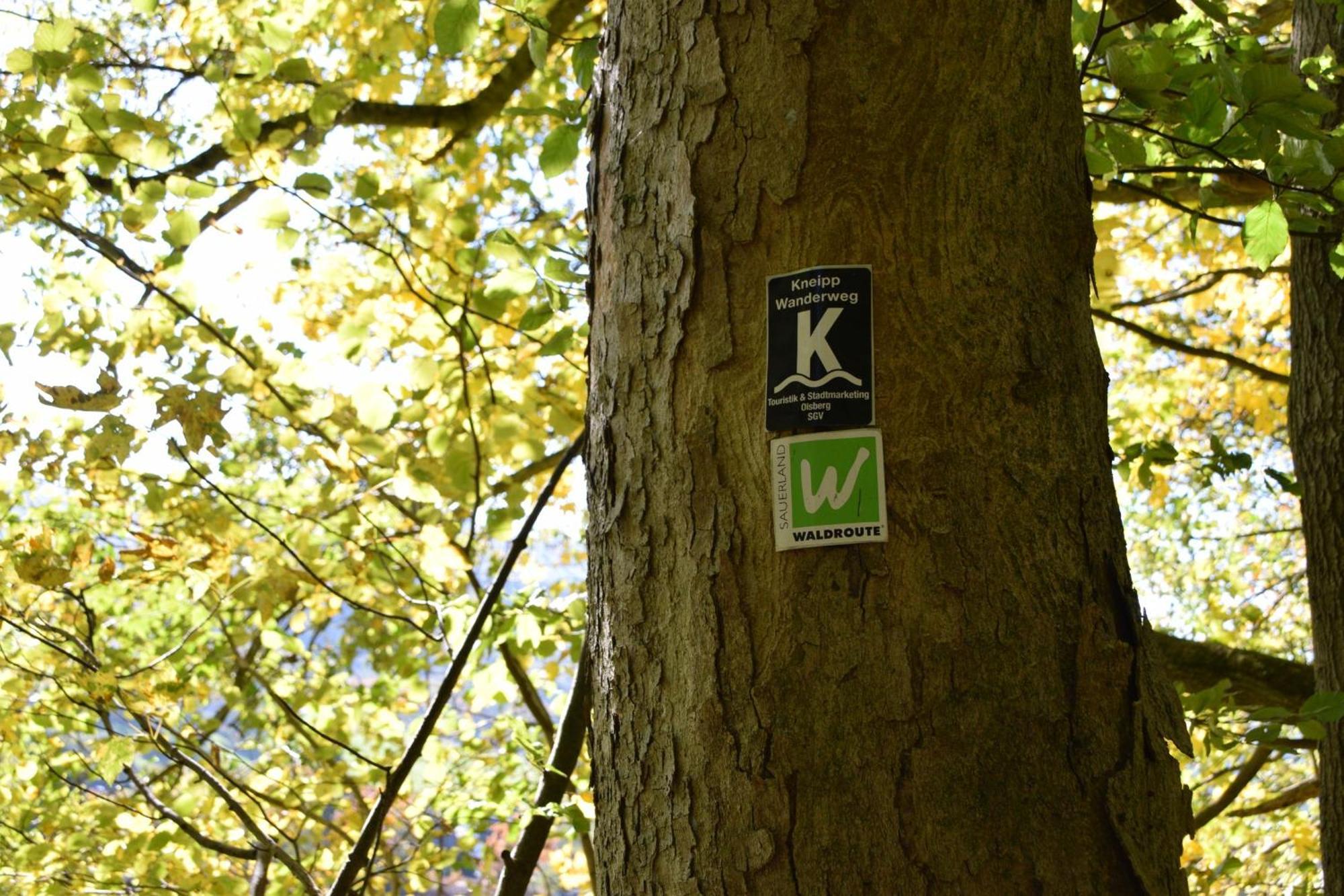 Ferienwohnung Panoramablick Olsberg Buitenkant foto